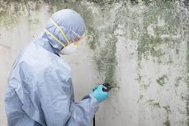 Best Residential Mold Inspection & Testing  in Gra Forks, ND